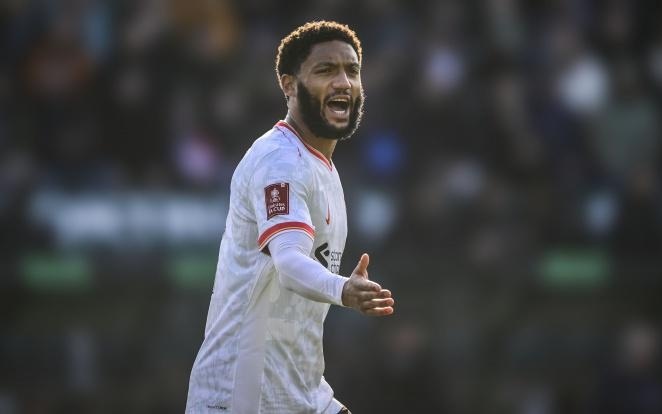 他们的职业 他们的职业